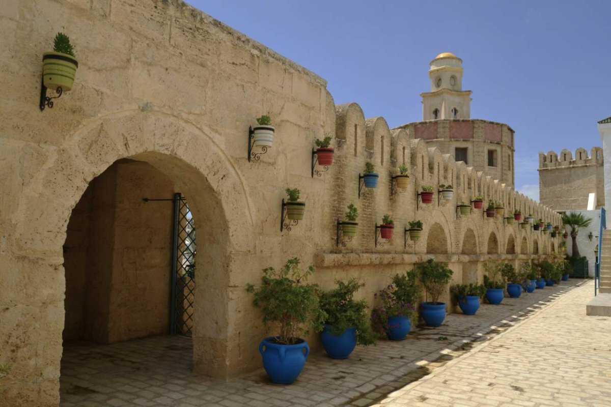 «Белавиа» возобновляет чартерные рейсы в Тунис