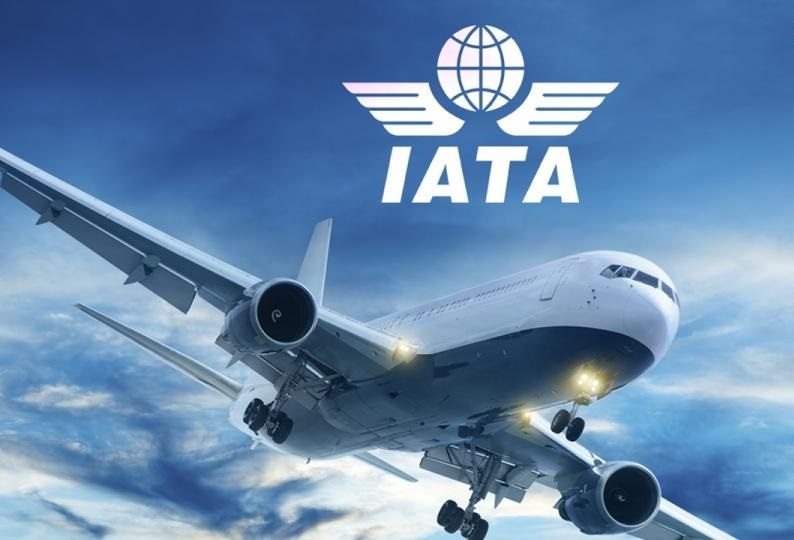 IATA призвала все страны разрешить выдавать пассажирам вместо денег ваучеры