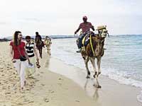 белорусам предлагают заново открыть тунис