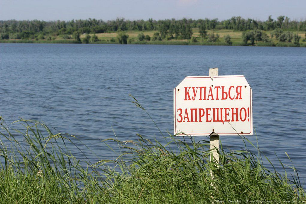 956708_original-21.jpg 956708_original-21.jpg