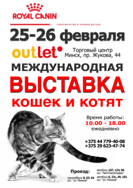 a50309bef2d423bd4be57ef71ddb870c.png