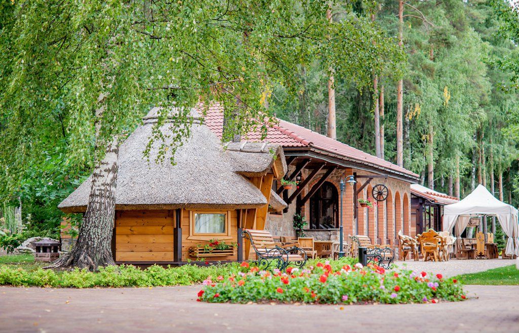 красный бор.jpg