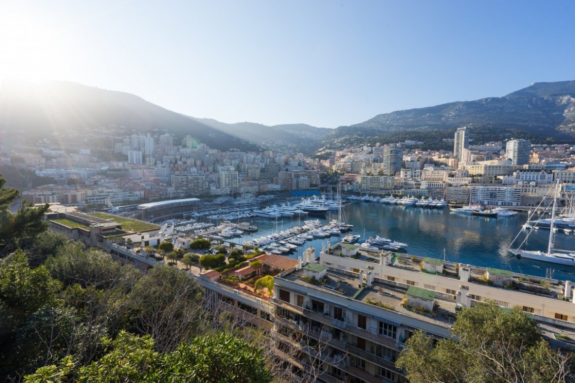 monaco_harbor_port_yachts_city_town_famous_luxury-1063851.jpg