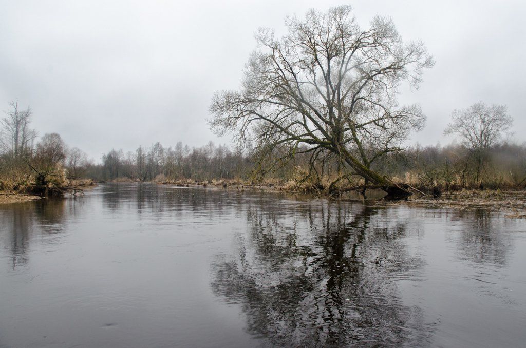 DSC_0155.jpg DSC_0155.jpg