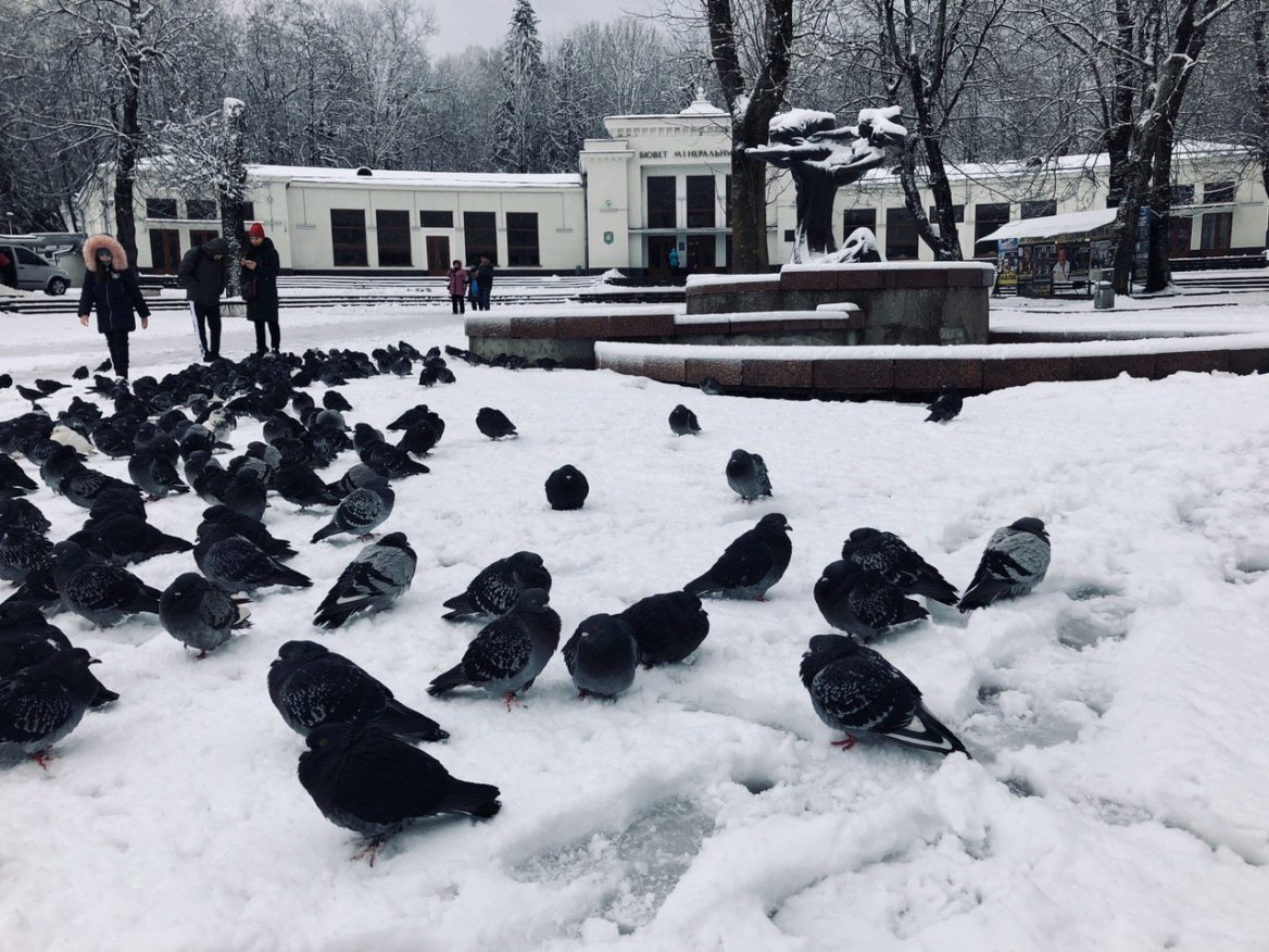 Бювет минеральных вод в Трускавце