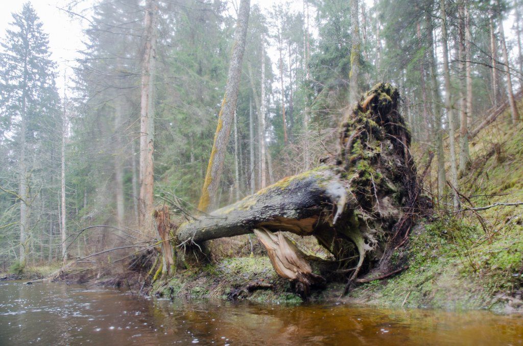 DSC_0101.jpg DSC_0101.jpg
