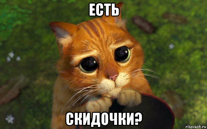 скидки котик.jpg