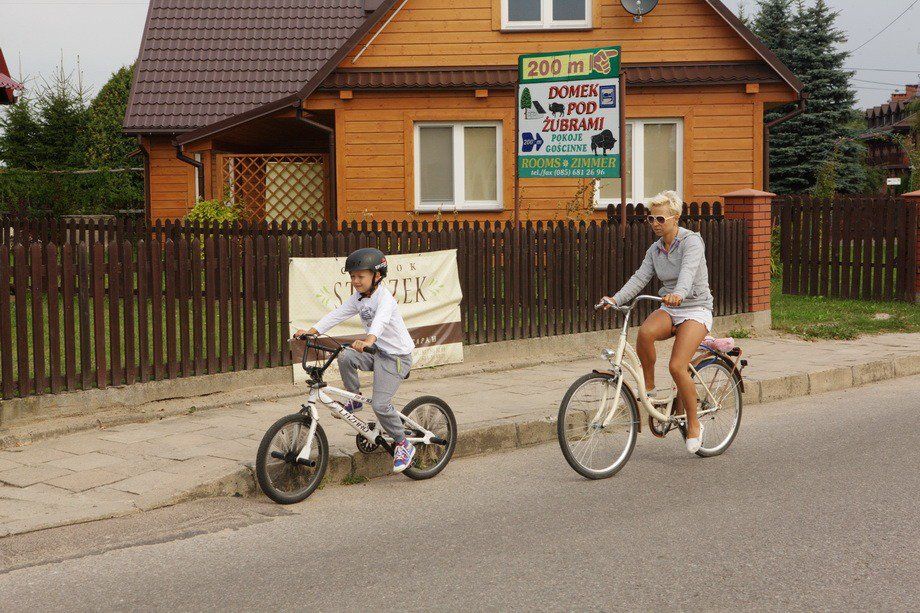 беловежа домик.jpg