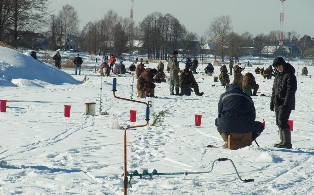 gallery_2_635-00.jpg