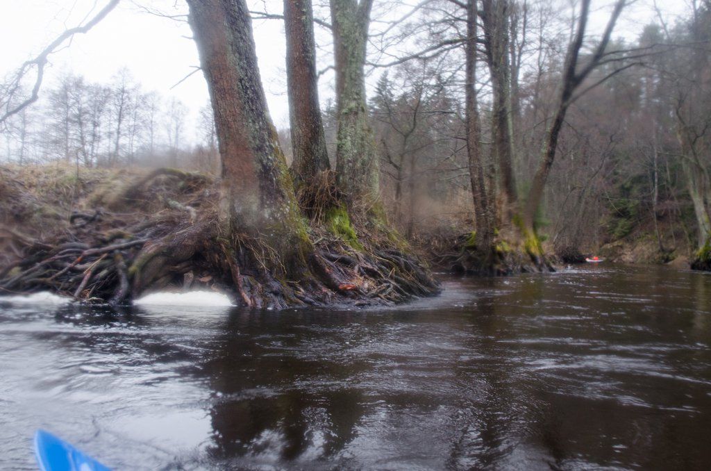 DSC_0132.jpg DSC_0132.jpg