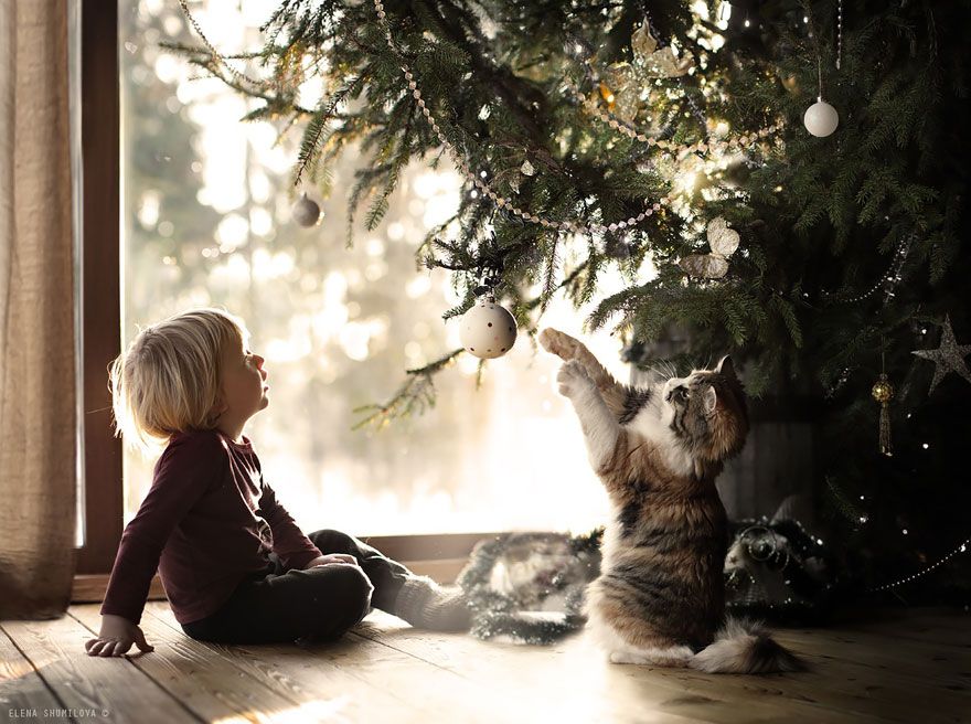 animal-children-photography-elena-shumilova-2-23.jpg