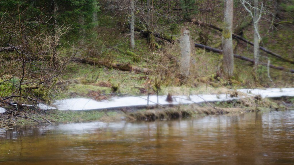 DSC_0103.jpg DSC_0103.jpg