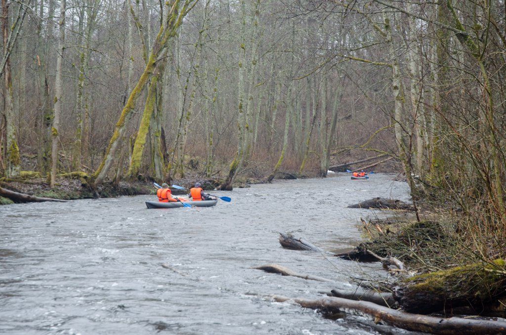 DSC_0060.jpg DSC_0060.jpg