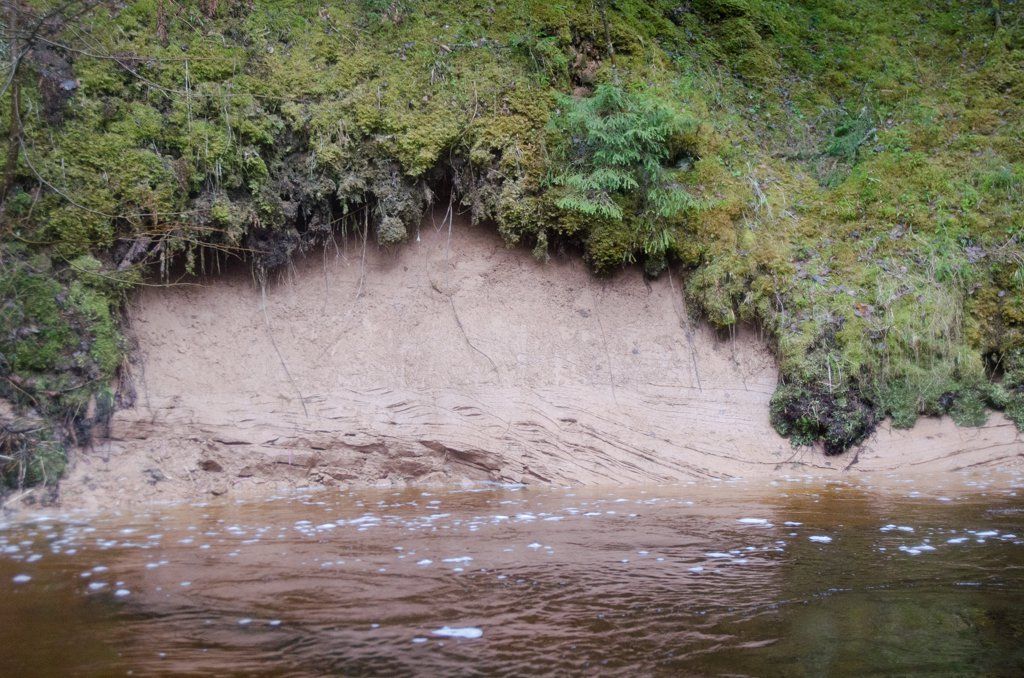 DSC_0110.jpg DSC_0110.jpg