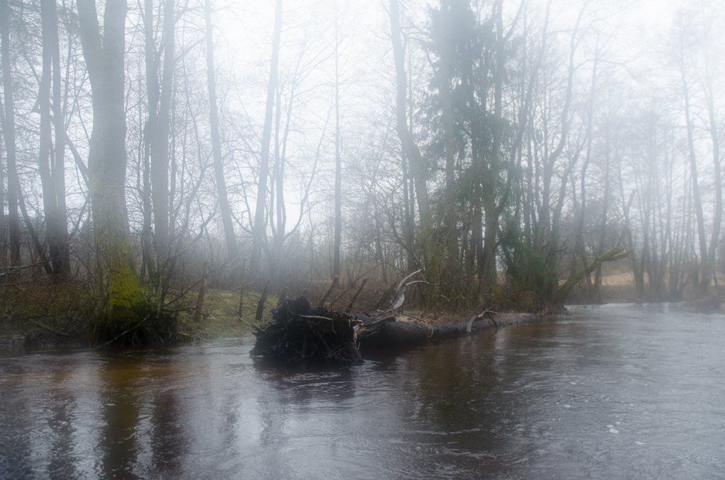 DSC_0076.jpg DSC_0076.jpg