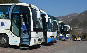 Что белорусы спрашивают у автобусных перевозчиков? 