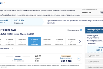 Fly Dubai отменила новогодние рейсы из Минска: праздники сорваны