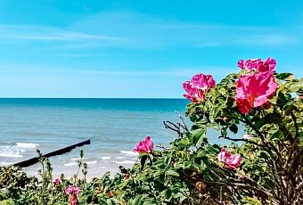 Ветер Балтики + 3 дня отдыха в посёлке Янтарный