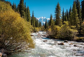 Авиатур в Казахстан+Кыргызстан. Вылет из Минска
