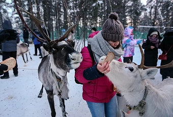 Тур в Мурманск! Киты и северное сияние