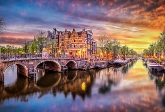 Цветочный Бенилюкс!