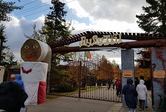 Путешествие в Дудутки