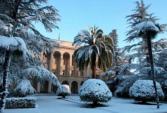 Новогодний гранд-тур в Абхазию на поезде 2026!