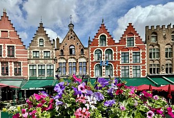 Цветочный Бенилюкс!