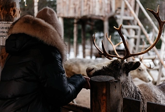 Новый год 2026 в Петербурге + Карелия