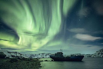 Новый год 2026 в Мурманске! Киты и северное сияние