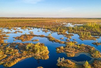 Тур на болото Ельня и водопад на реке Вята