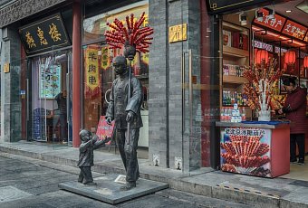 Фестиваль пионов в Лояне