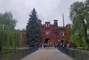 Брест - Беловежская пуща, 2 дня