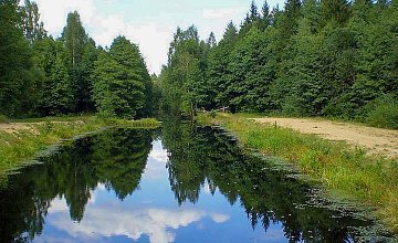 В июне туристов пригласят в «Музей міфічных істот»