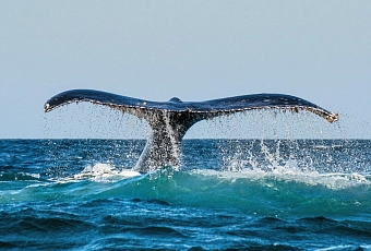 Автобусный тур в Мурманск! Арктическое лето
