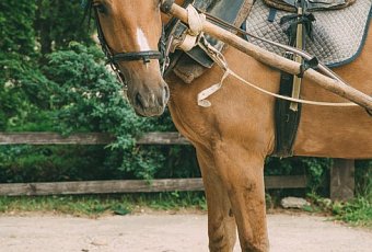 Ремесла и этнография в «Дудутках»