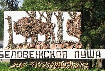 Отдых в Беловежской пуще