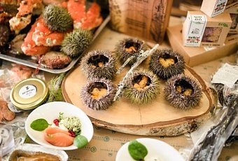 Тур в Мурманск! Киты и северное сияние