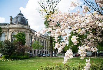 Парижские грёзы, кружева Брюгге и тайны Нормандии