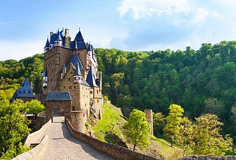 Цветочный ковер и прогулка по Рейну