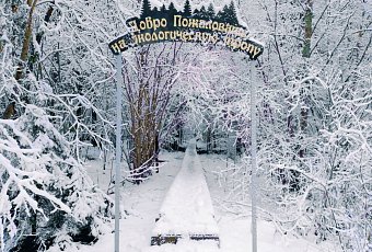 Новогодняя сказка в Березинском заповеднике