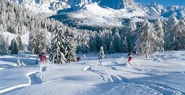 Главное фото