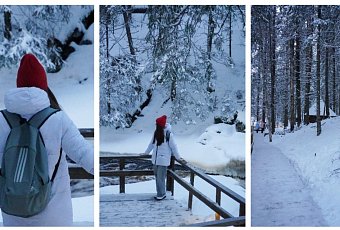 Новый год в Карелии 2026! 