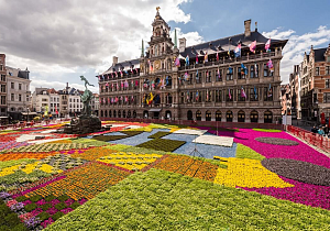 Цветочный ковер и прогулка по Рейну