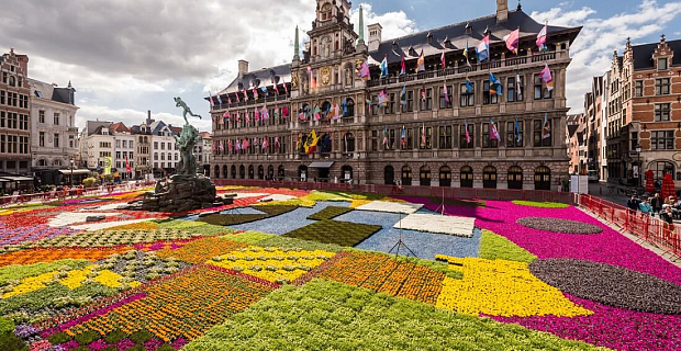 Главное фото