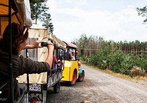 Полесский Калейдоскоп: История, Сыр Bonfesto и Сафари