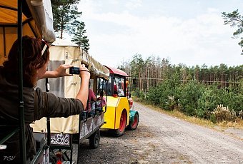 Полесский Калейдоскоп: История, Сыр Bonfesto и Сафари