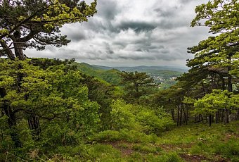 Холодное сердце Альп 