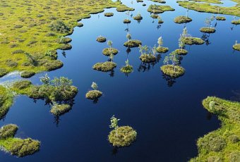 Болото Ельня и водопад на реке Вята