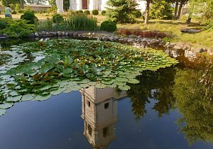 Вдоль Западной Двины